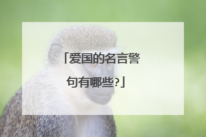 爱国的名言警句有哪些?