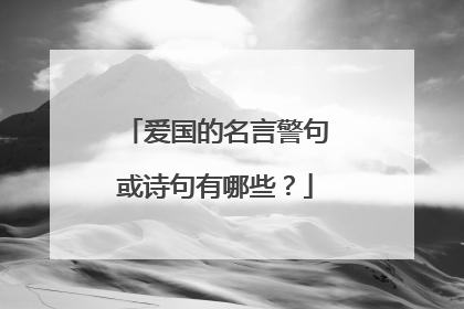 爱国的名言警句或诗句有哪些？