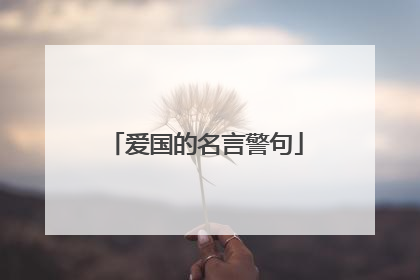 爱国的名言警句