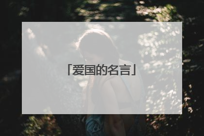 爱国的名言
