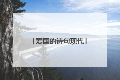 爱国的诗句现代