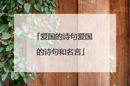 爱国的诗句爱国的诗句和名言