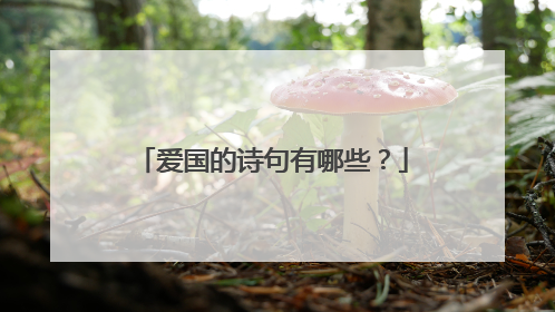 爱国的诗句有哪些?