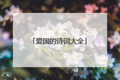 爱国的诗词大全