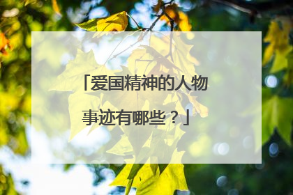 爱国精神的人物事迹有哪些?