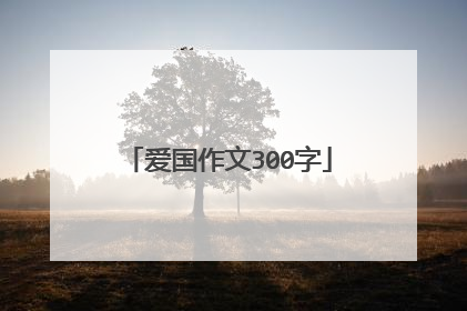 爱国作文300字
