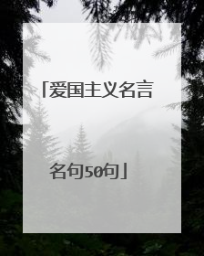 爱国主义名言名句50句