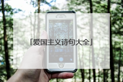 爱国主义诗句大全