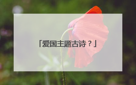爱国主题古诗?