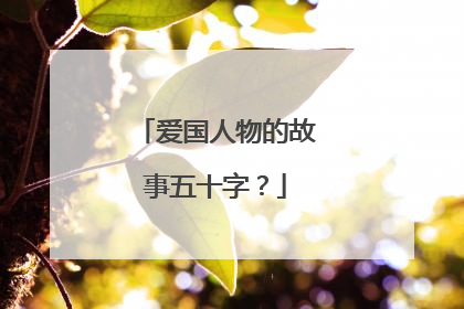 爱国人物的故事五十字?