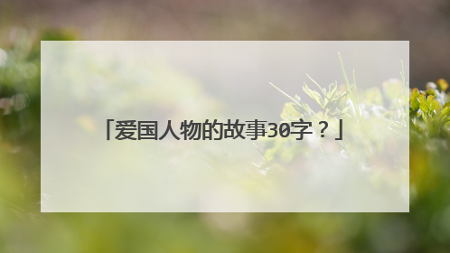 爱国人物的故事30字?