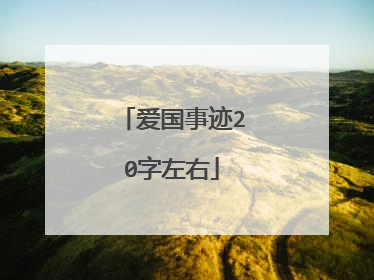 爱国事迹20字左右