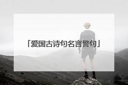 爱国古诗句名言警句