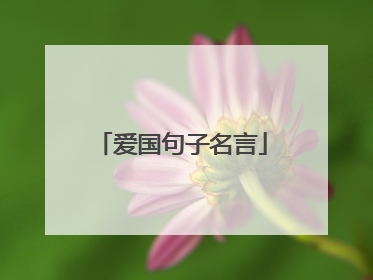 爱国句子名言