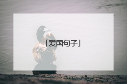 爱国句子