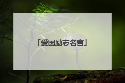 爱国励志名言