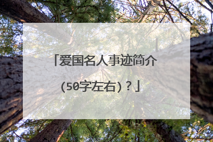 爱国名人事迹简介(50字左右)?