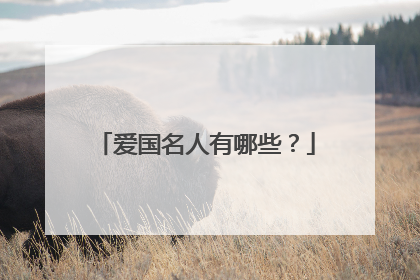 爱国名人有哪些?