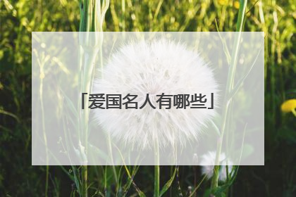 爱国名人有哪些