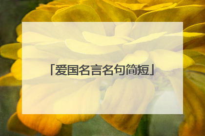 爱国名言名句简短