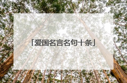 爱国名言名句十条