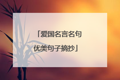 爱国名言名句优美句子摘抄