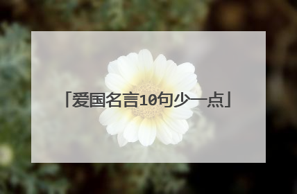 爱国名言10句少一点
