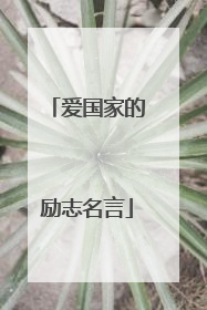 爱国家的励志名言