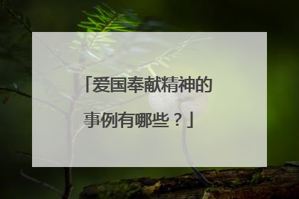 爱国奉献精神的事例有哪些?