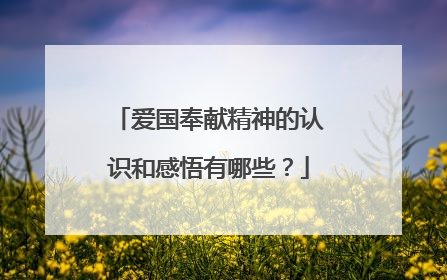 爱国奉献精神的认识和感悟有哪些?
