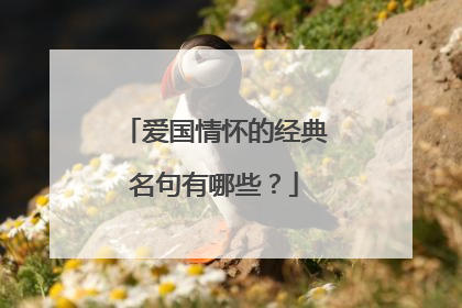 爱国情怀的经典名句有哪些?