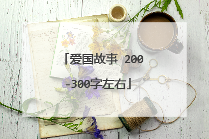 爱国故事 200-300字左右