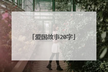 爱国故事20字