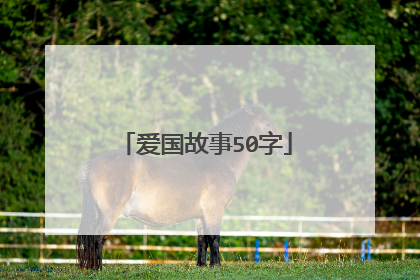 爱国故事50字
