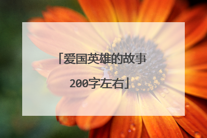 爱国英雄的故事 200字左右
