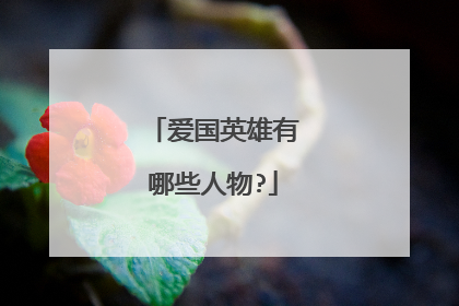 爱国英雄有哪些人物?