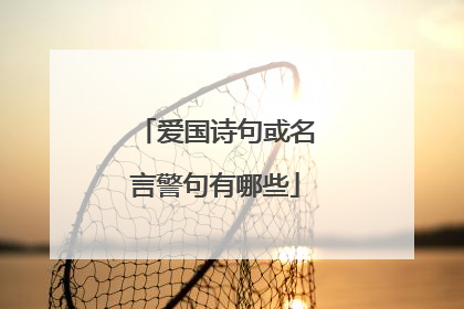 爱国诗句或名言警句有哪些