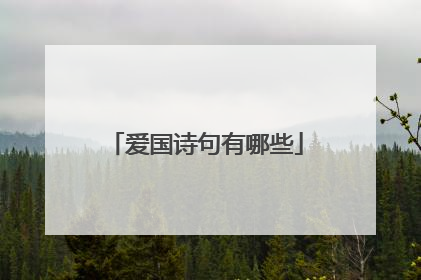 爱国诗句有哪些
