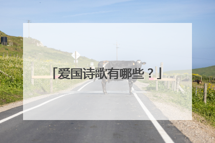 爱国诗歌有哪些?