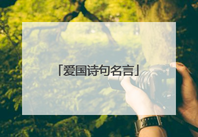 爱国诗句名言