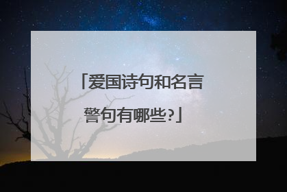 爱国诗句和名言警句有哪些?