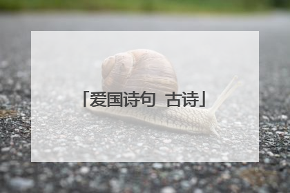 爱国诗句 古诗