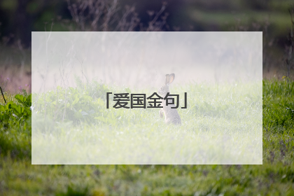 爱国金句