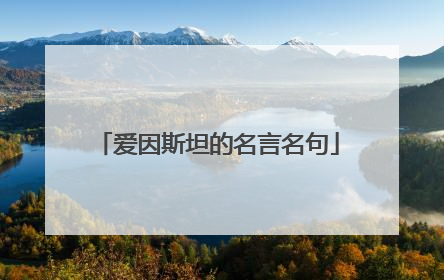 爱因斯坦的名言名句