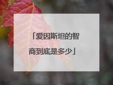爱因斯坦的智商到底是多少