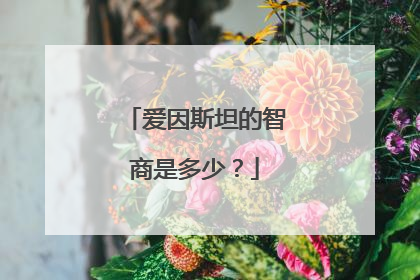 爱因斯坦的智商是多少?
