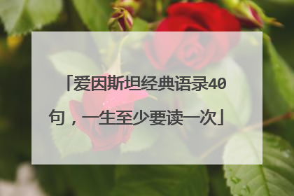 爱因斯坦经典语录40句,一生至少要读一次