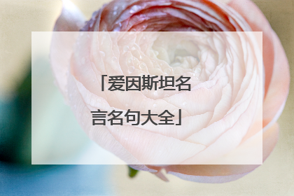 爱因斯坦名言名句大全