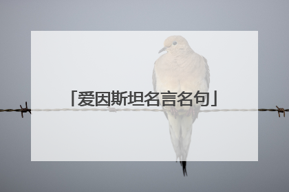 爱因斯坦名言名句