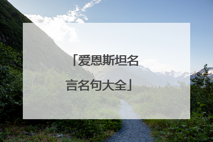 爱恩斯坦名言名句大全